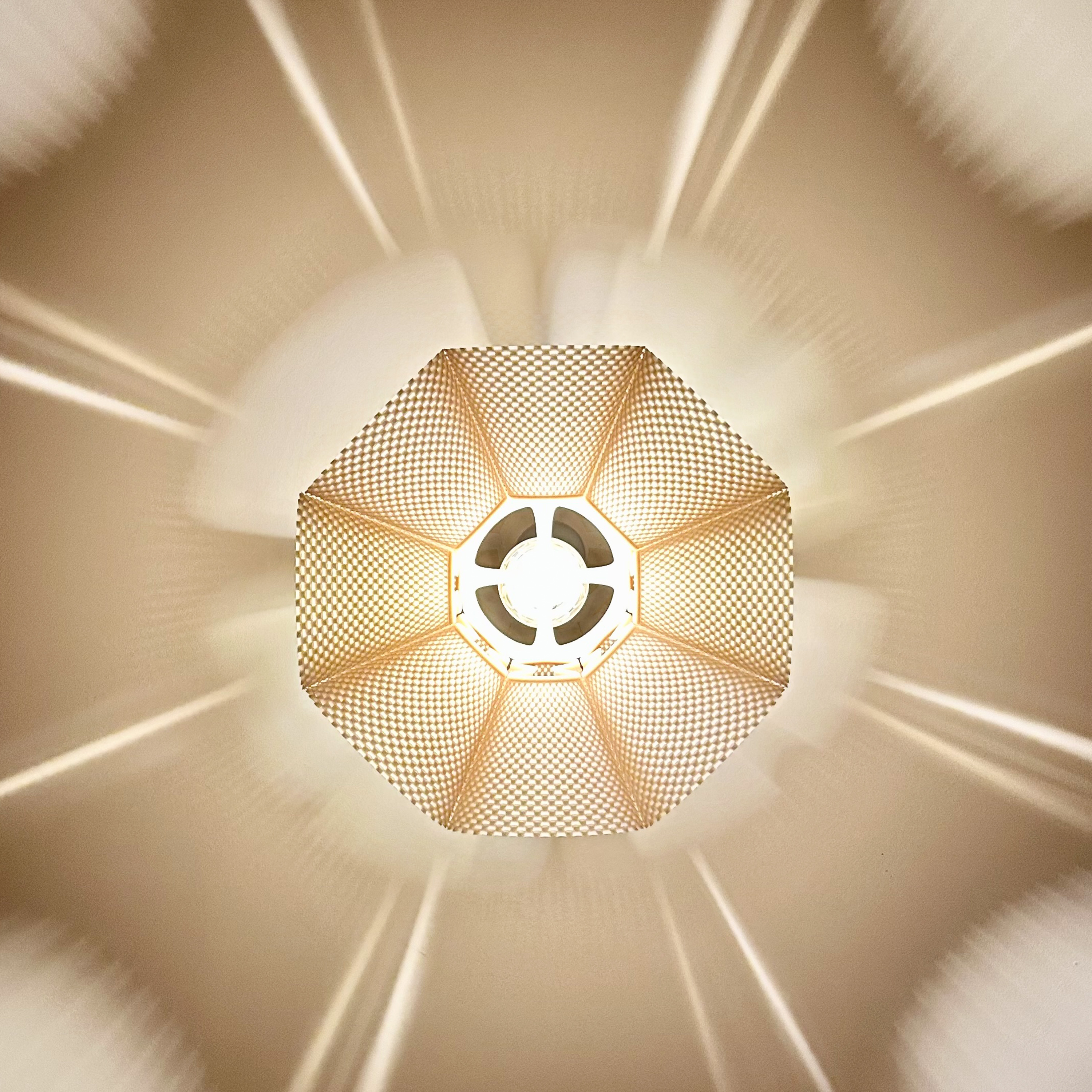 COROA pendant light
