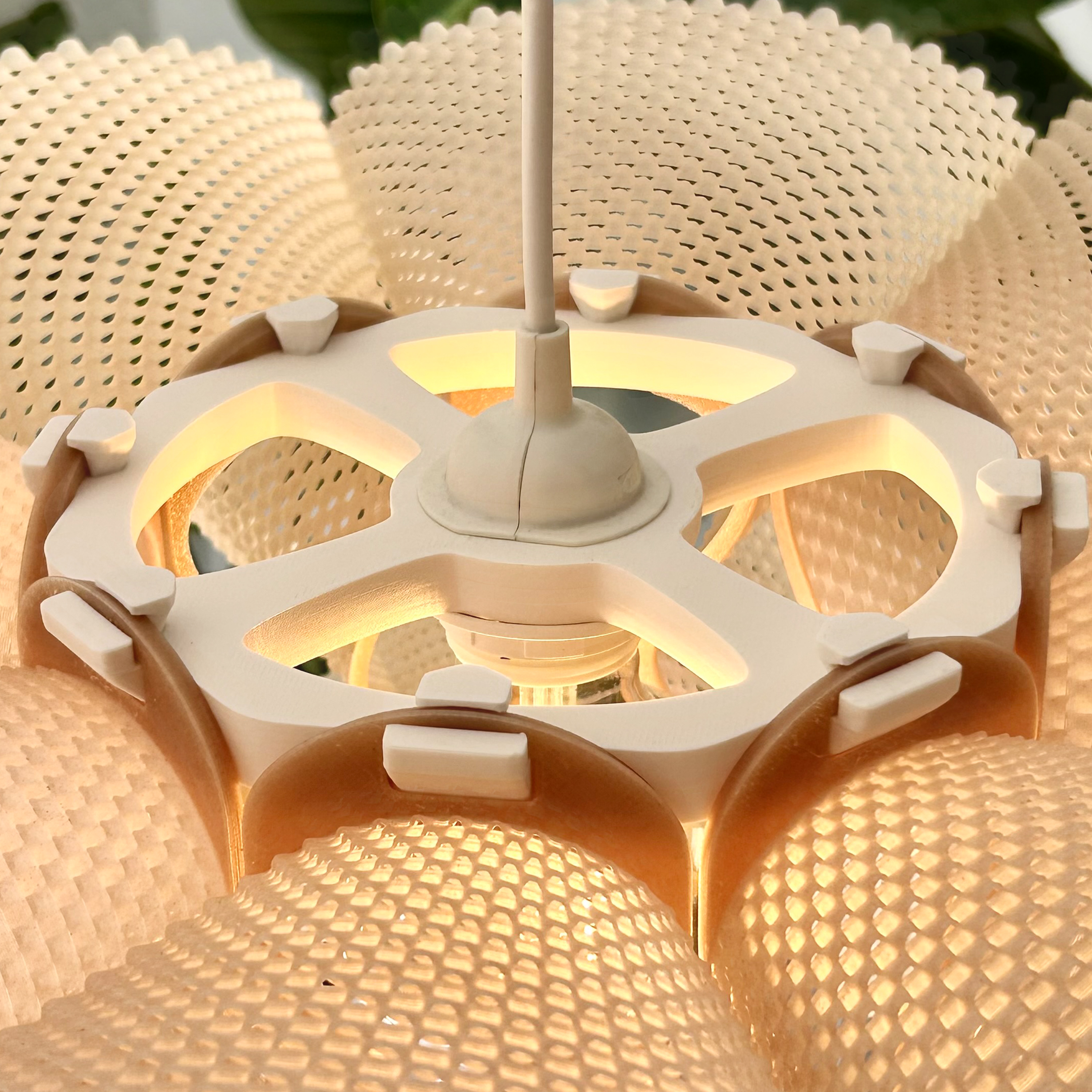 COROA pendant light